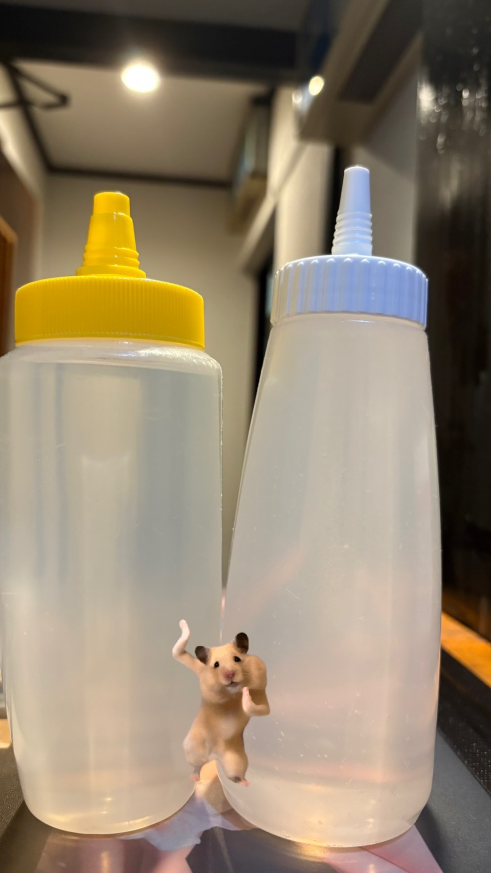 事前準備は必要ありません♪